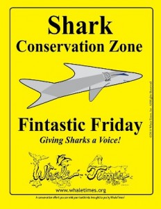CopyrightWhaleTimesShark Conservation Zone Poster no date WhaleTimes websm