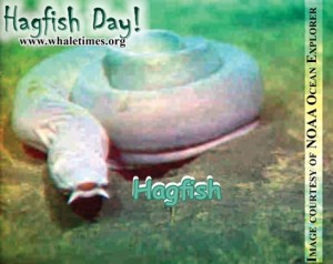 Hagfish day HAGFISH Image courtesy of NOAA Ocean Explorer wbsm