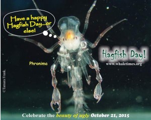 Hagfish Day Postcard Oct 21 2015 Phronima WhaleTimessm