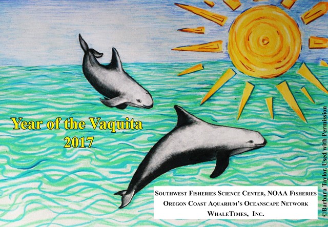 Year of the Vaquita WhaleTimes