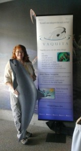 whaletimes-team-vaquita-at-or-coast-aquarium-copyrightwhaletimes-sm