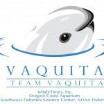 team-vaquita-1449x1127-copyright-whaletimes-all-rights-reserved